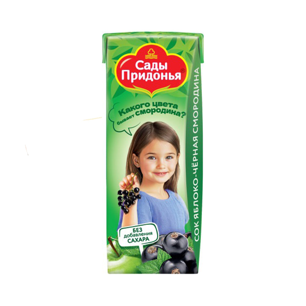 Clarified apple and blackcurrant juice. Sady Pridonya 200ml