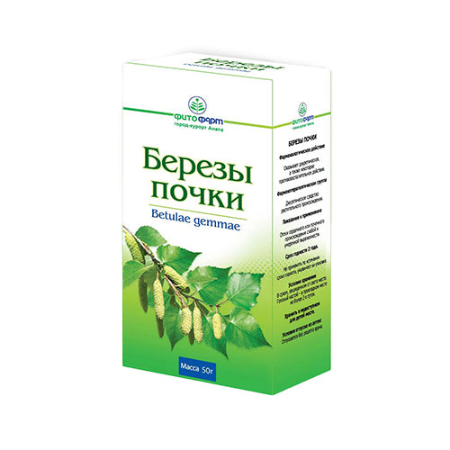 картинка Берёза (почки) – Prostor.ae