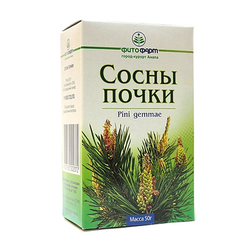 картинка Сосны почки – Prostor.ae