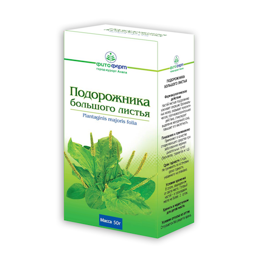 картинка Подорожник большой (листья) – Prostor.ae