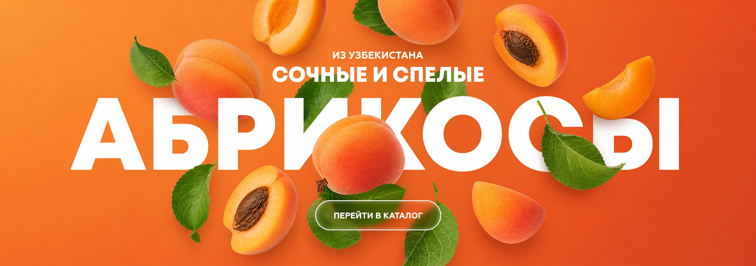 Абрикосы из Узбекистана