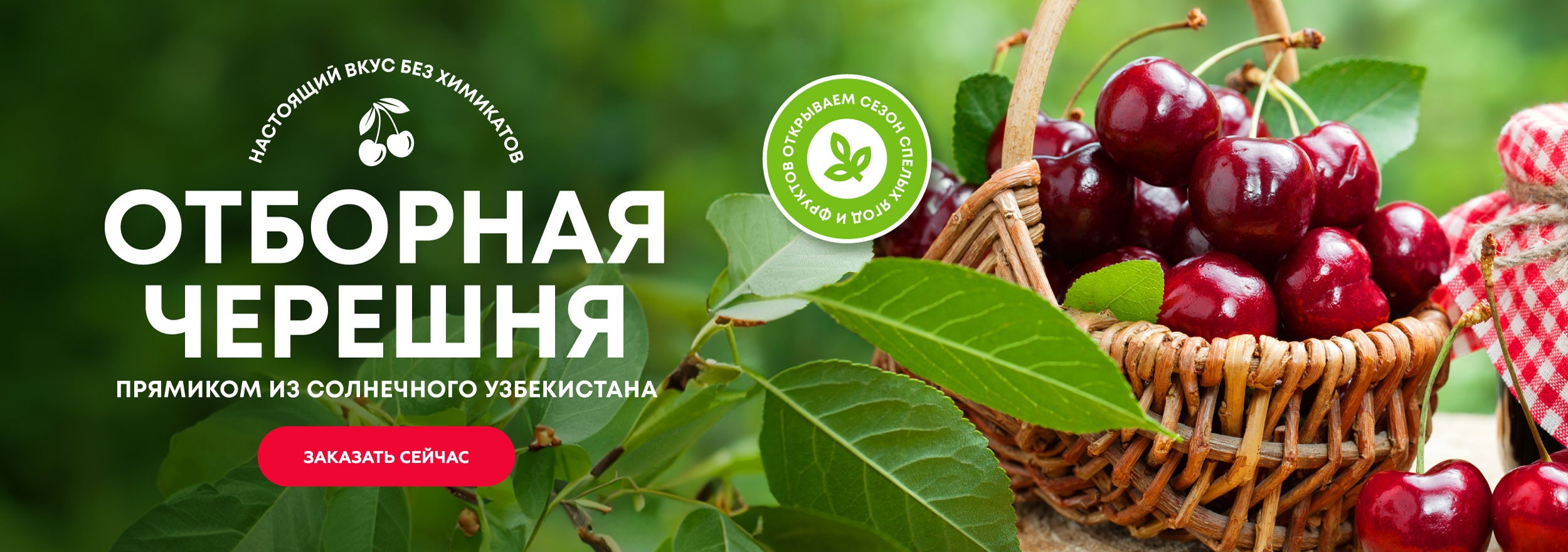 Черешня из Узбекистана