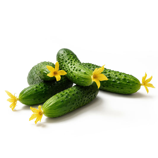Cucumbers with pimples (Uzbekistan) 500g