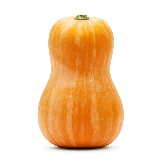 Pumpkin "Japanese" (Uzbekistan) ~1.4 kg