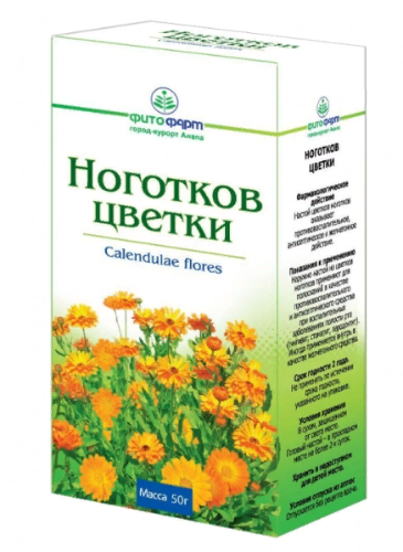 картинка Календула (ноготки, цветки) – Prostor.ae