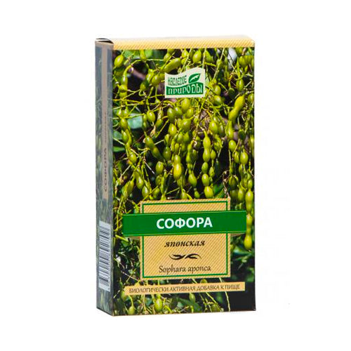 картинка Софора японская (плоды) – Prostor.ae