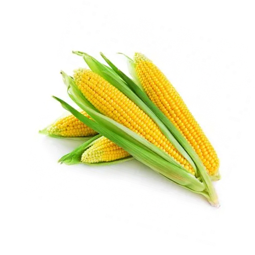 картинка Кукуруза (Узбекистан) ≈ 3 штуки 1кг – Prostor.ae